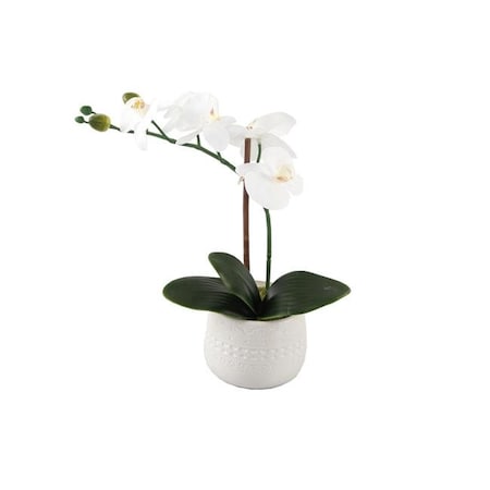 Flora Bunda Flora Bunda CS3831E-WH 12 in. Real-Touch Orchid Mayan Ceramic Po-E Planter; White CS3831E-WH